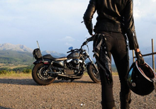 Load image into Gallery viewer, 04-22 Sportster Exhaust